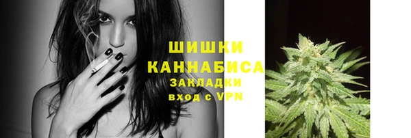 каннабис Новозыбков