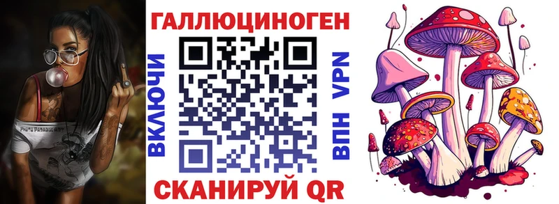 где найти Приозерск Галлюциногенные грибы Cubensis